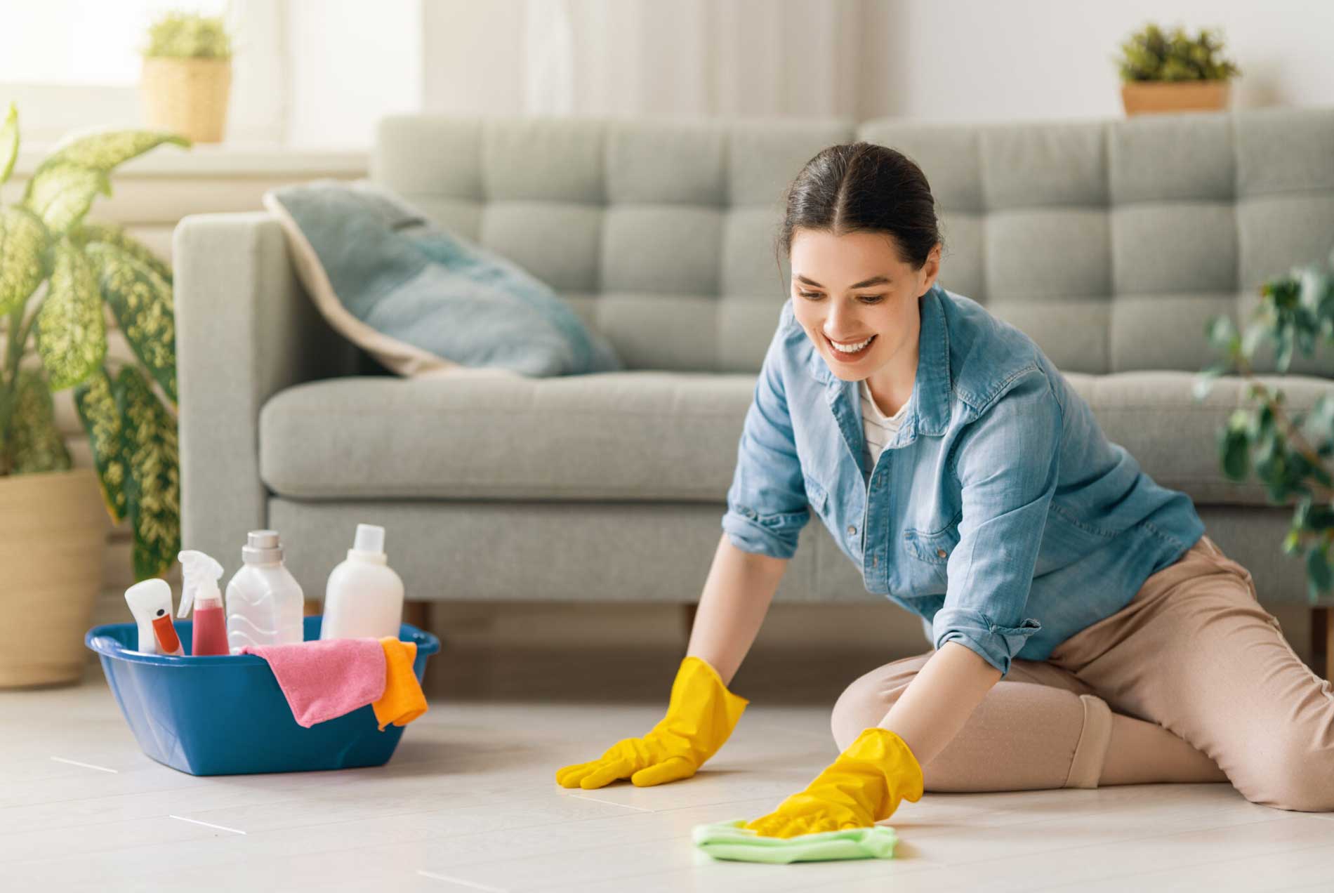 Sanitization and Disinfection Services Header